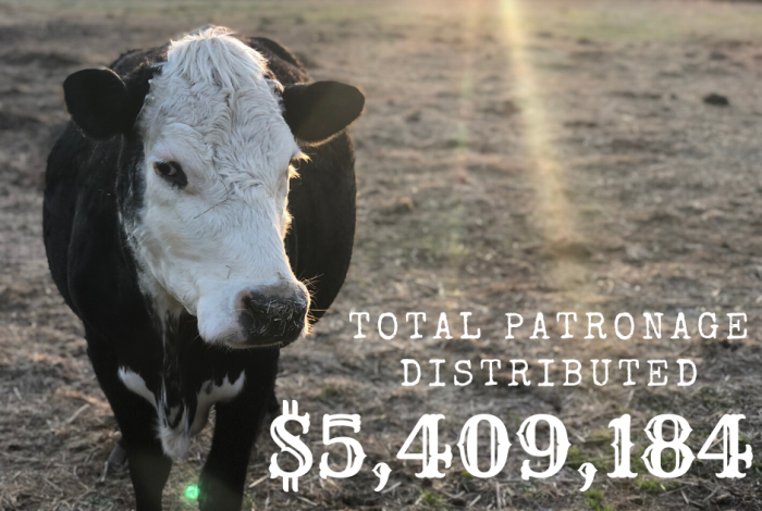 Total Patronage Distributed: $5,409,184