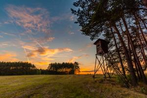 hunting stand
